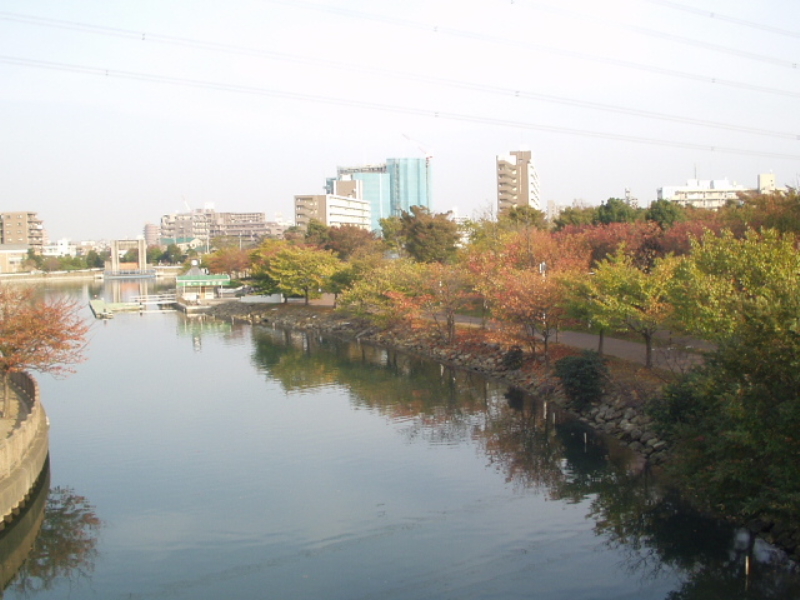 img0016.jpg
