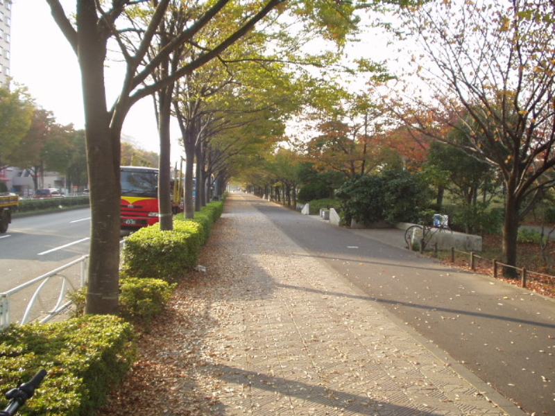 img0018.jpg