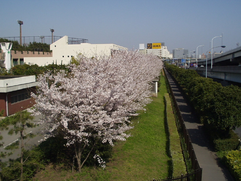 img0022.jpg