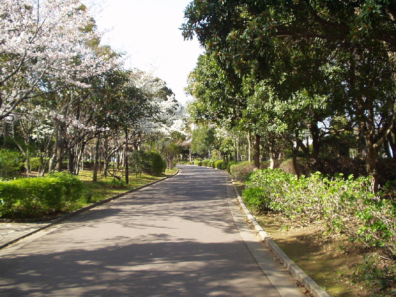 img0023.jpg