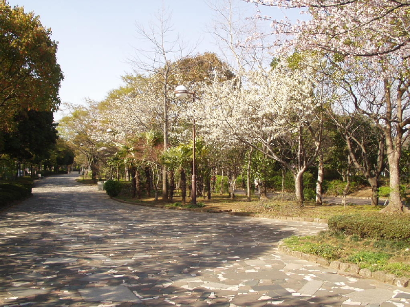 img0024.jpg