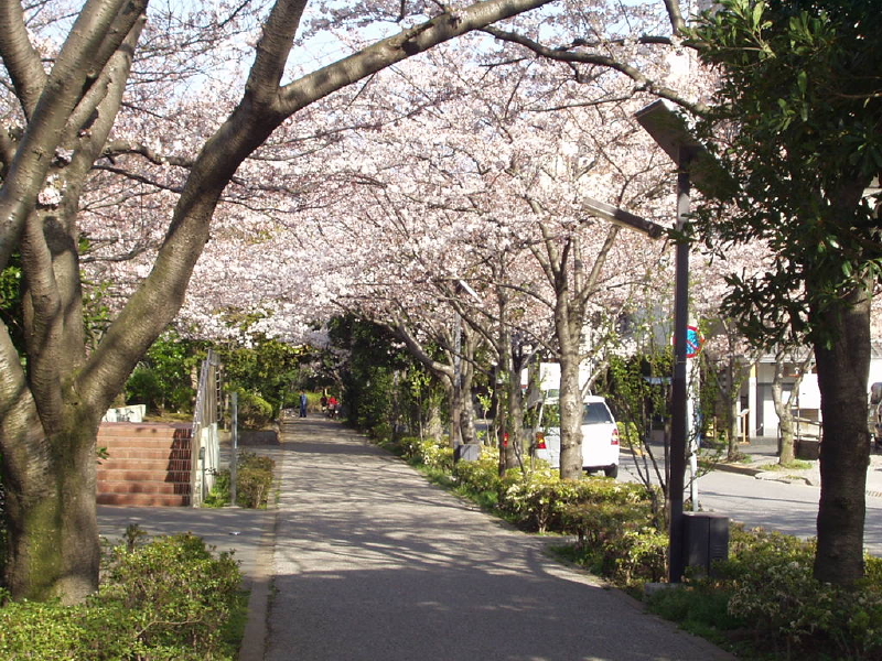 img0027.jpg