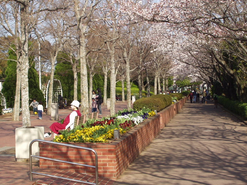 img0028.jpg
