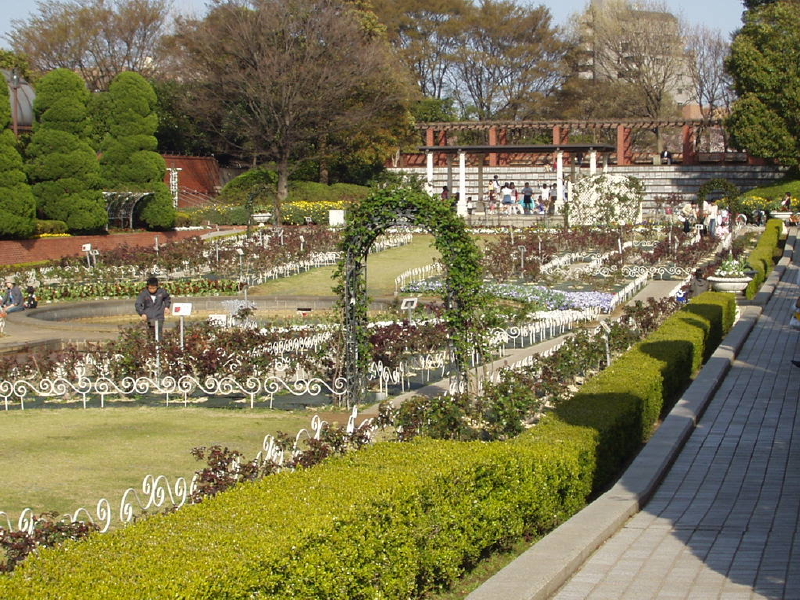 img0029.jpg