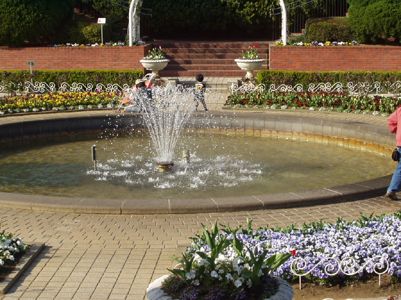 img0030.jpg