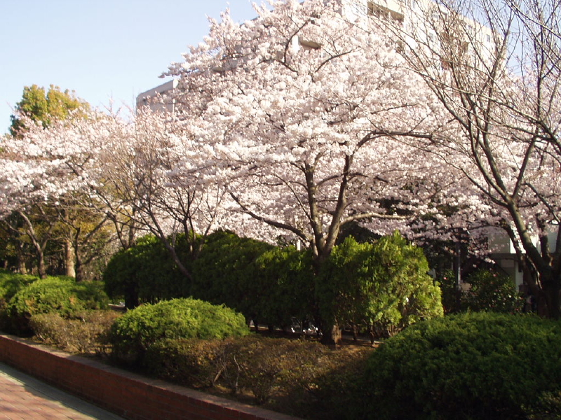 img0031.jpg