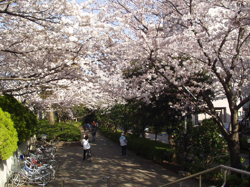 img0032.jpg