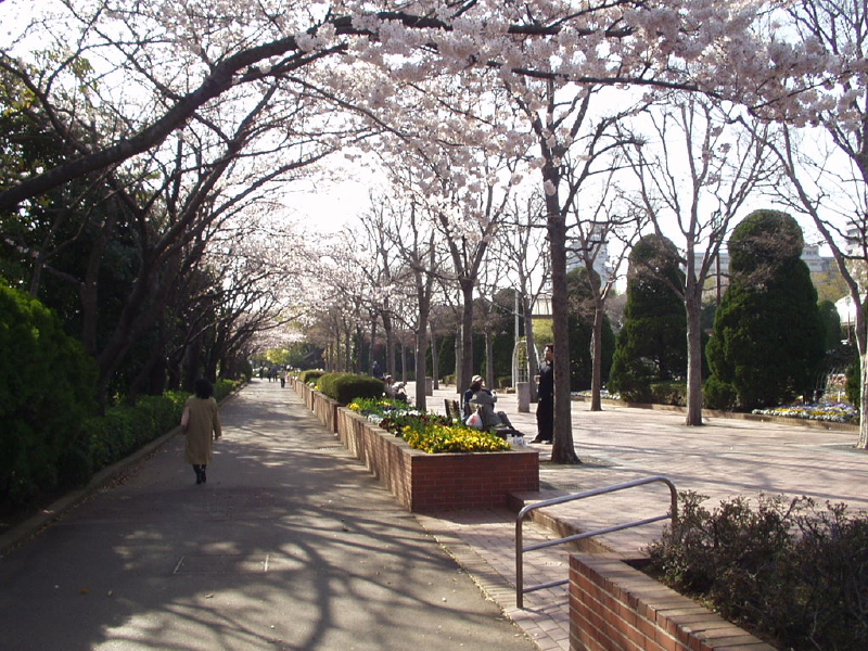img0033.jpg