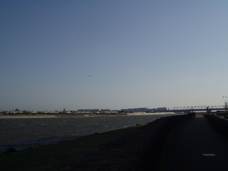 img0036.jpg