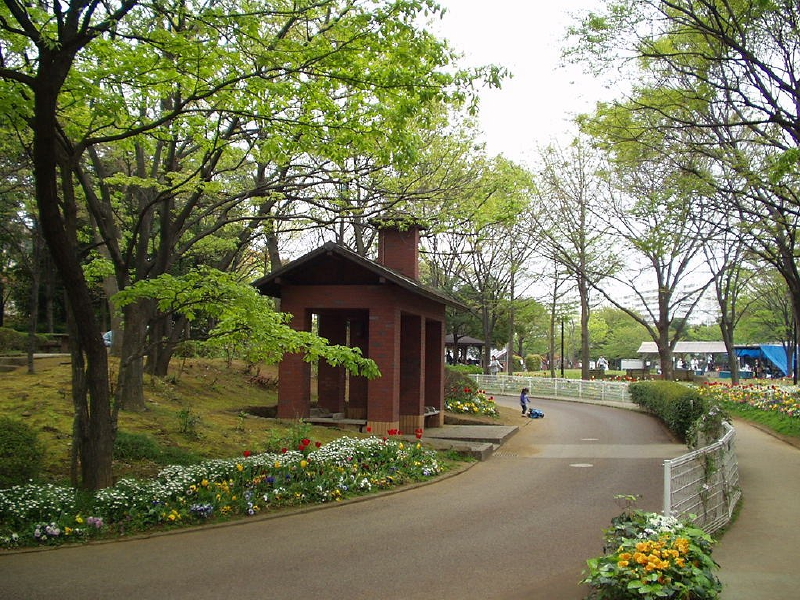 img0046.jpg