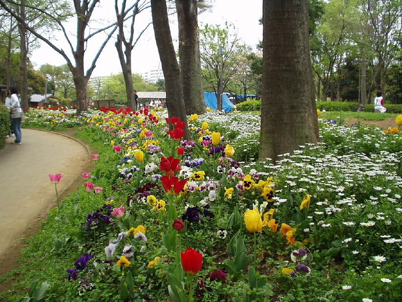 img0047.jpg