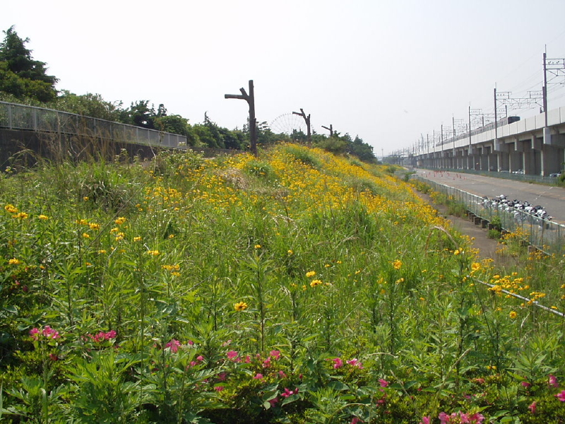 img0052.jpg