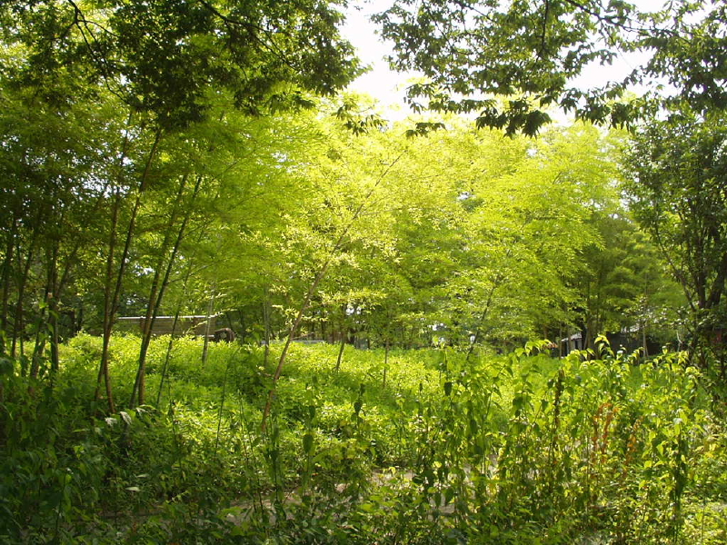 img0064.jpg