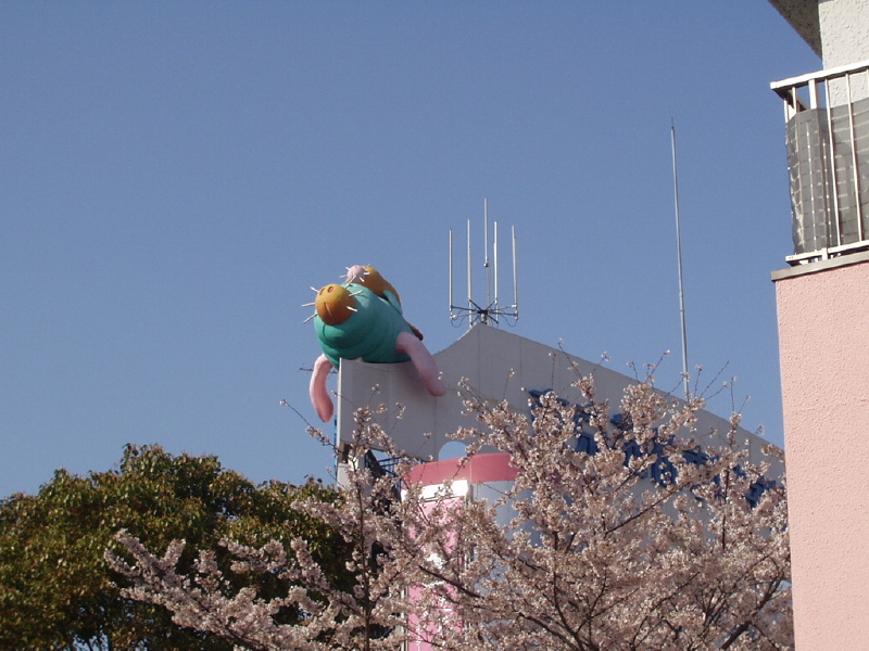 img0068.jpg