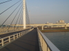 img0005.jpg