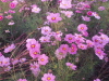 img0006.jpg
