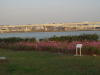 img0007.jpg