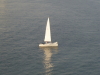 img0013.jpg