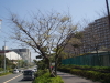 img0019.jpg