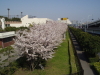 img0022.jpg