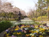img0025.jpg