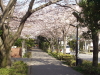 img0027.jpg