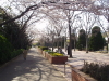 img0033.jpg
