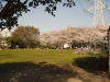 img0034.jpg