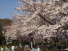 img0035.jpg