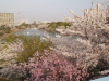 img0037.jpg