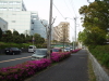 img0038.jpg