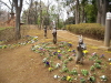 img0044.jpg