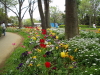 img0047.jpg