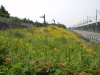 img0052.jpg