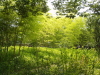 img0064.jpg