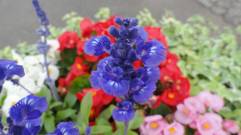 img0007.jpg