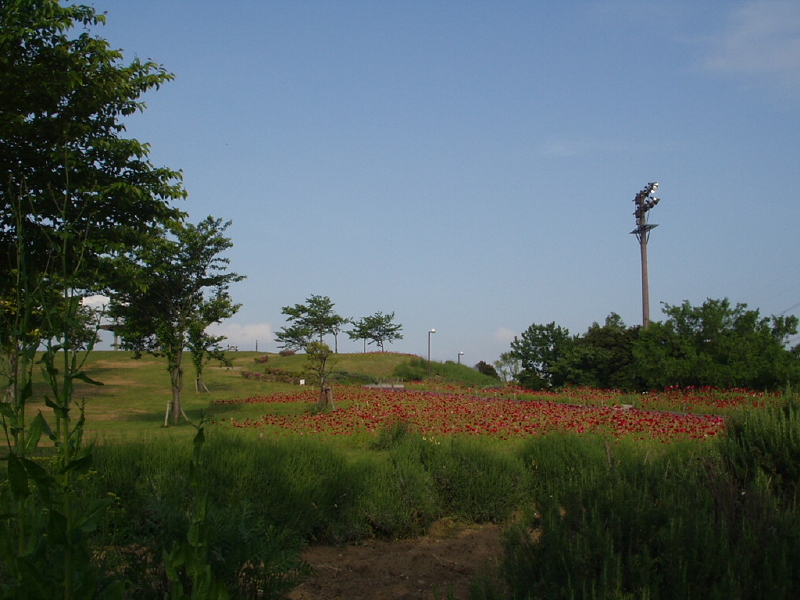 img0019.jpg