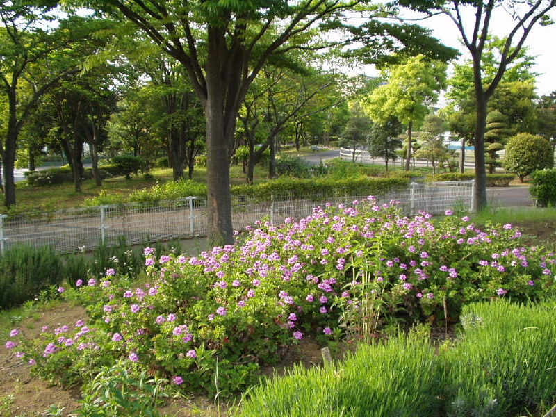 img0022.jpg