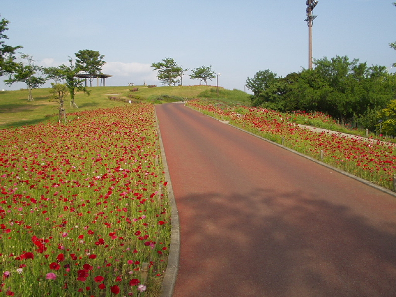 img0023.jpg