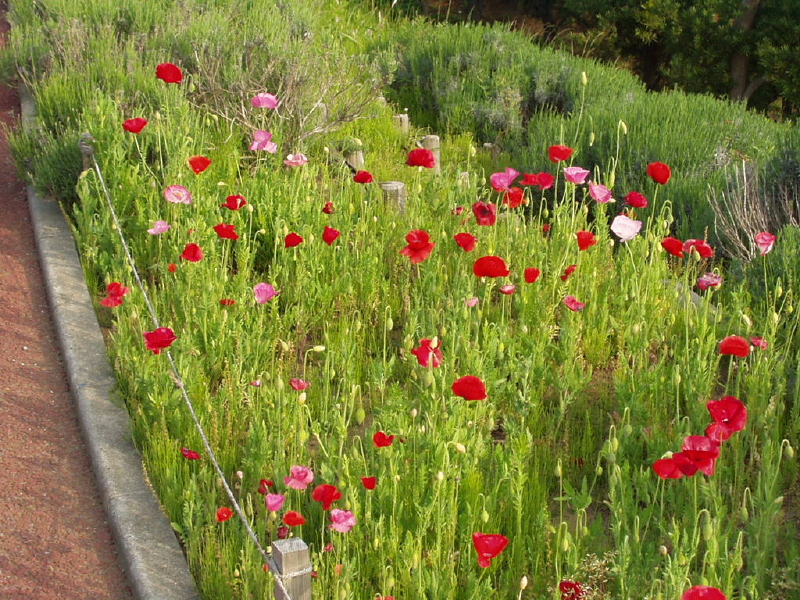 img0024.jpg