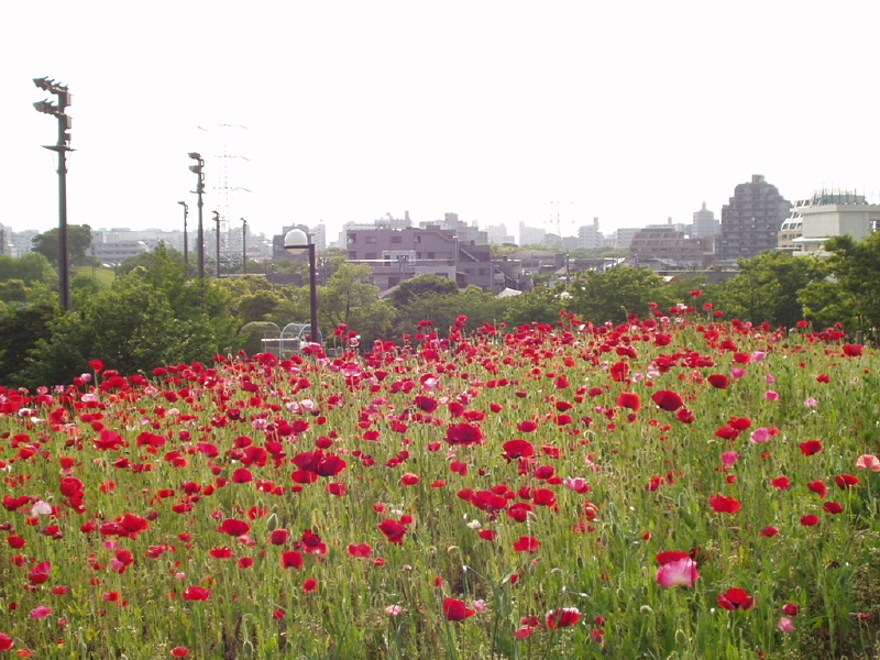 img0025.jpg