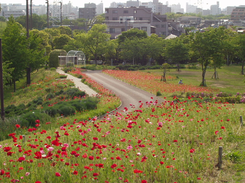 img0026.jpg