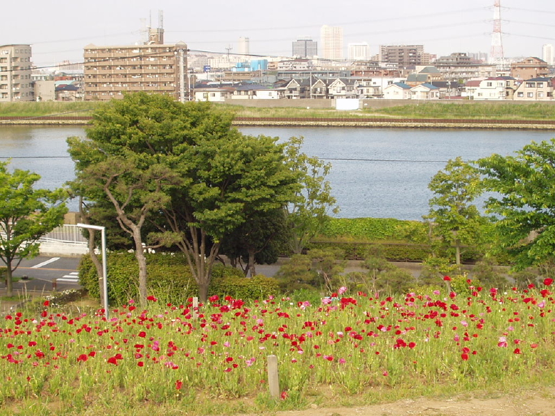 img0028.jpg