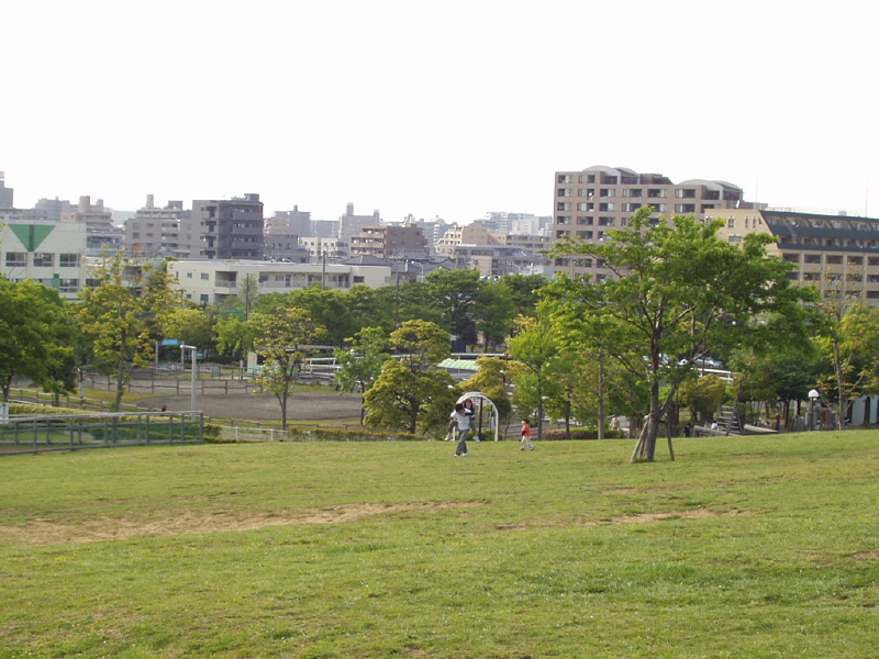img0029.jpg