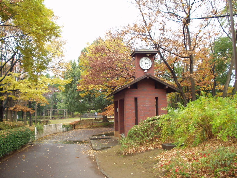 img0034.jpg