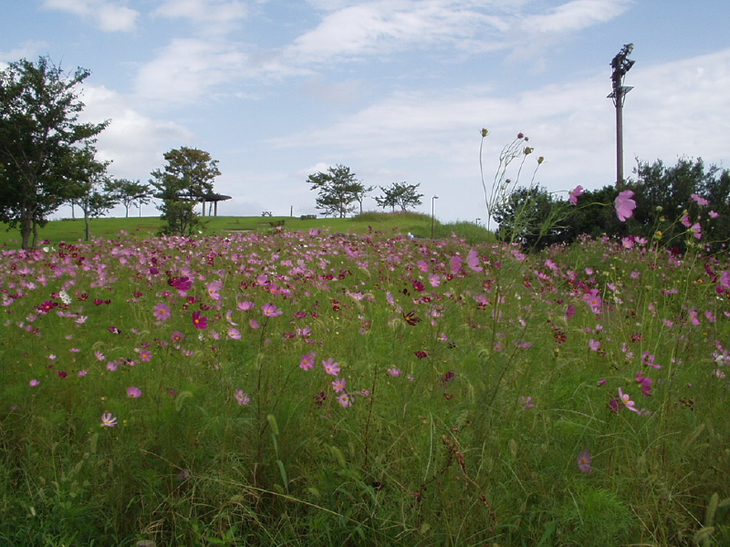 img0035.jpg