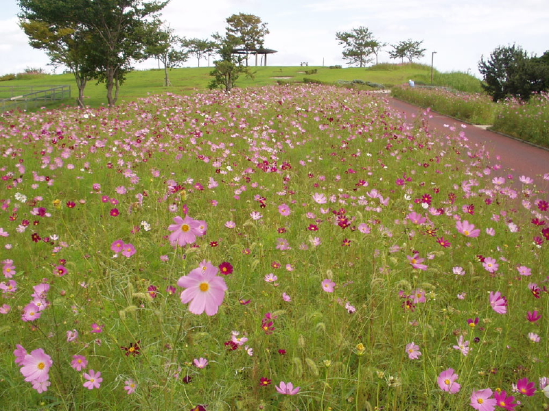 img0036.jpg