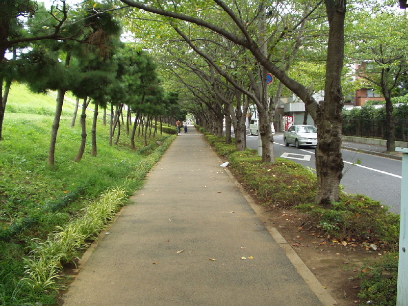 img0038.jpg