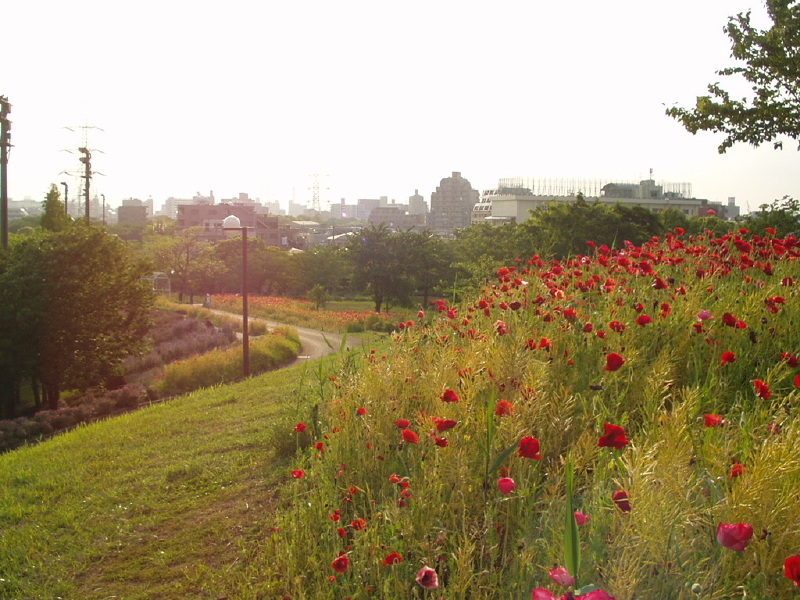 img0044.jpg