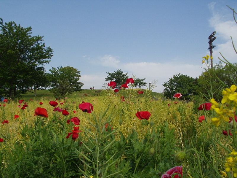 img0046.jpg